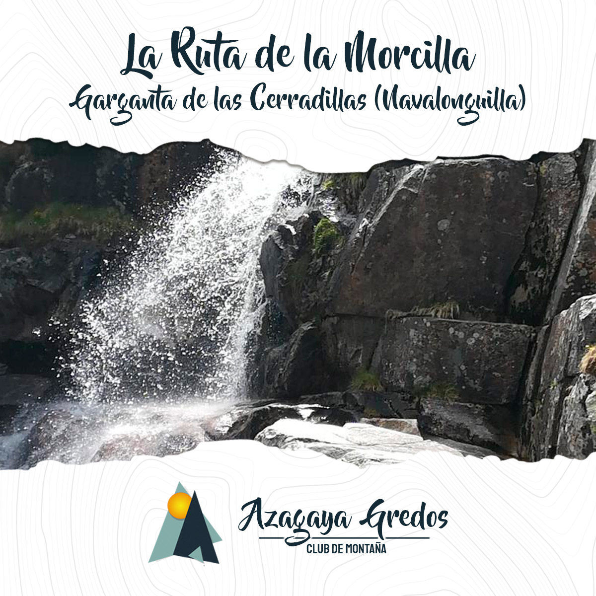 producto-morcilla