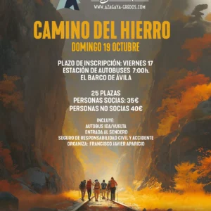 CAMINO DE HIERRO