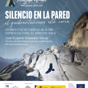 🦅 Silencio en la pared, el quebrantahuesos está cerca