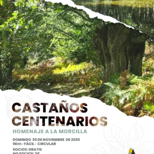 Castaños Centenarios - Homenaje a la morcilla